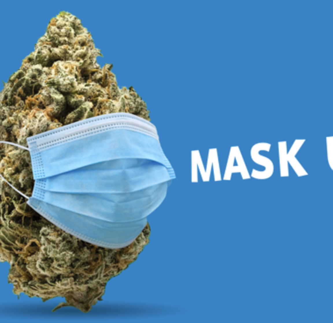 COVID Safety Precautions At FLUENT Dispensaries